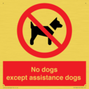 no-dogs-except-assistance-dogs~